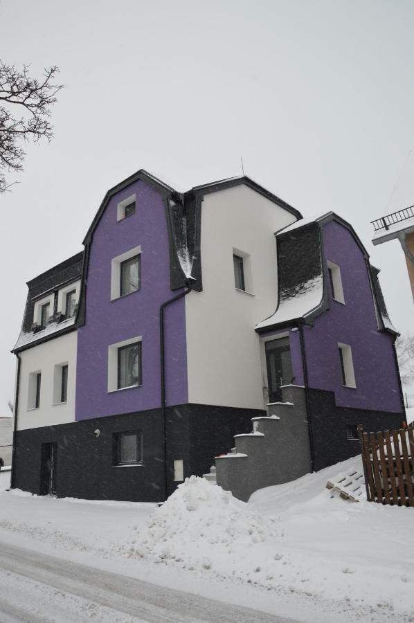 Apartments Villa Viola Kovářská Exteriör bild
